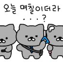 김바늘 이미지