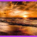 천남민박 이미지