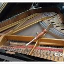 삼호교회 이미지