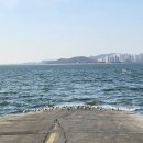 서해철강 | 월미바다열차 탑승기 요금 예매방법 운행코스 인천 모노레일