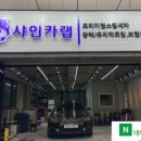 샤인카랩 이미지