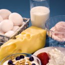 DB스파월드 이미지