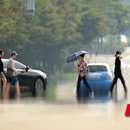 곡성-003 이미지