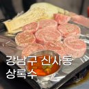 특수고기 | [강남구 신사동] 도산공원 맛집 상록수 특수고기 먹은 후기