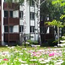 (주)HJ매그놀리아용평호텔앤리조트