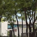 강변서울의원 | [여의도 카페] 국회의사당 강변서재 카페 주말 오픈런 후기