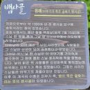 제313차 7월9일(일) 전북남원 뱀사골 계곡 산행 이미지