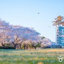 경주 키즈풀빌라 청담펜션 이미지