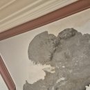 신평동 | 평택 신평동 도배 시공 후기 ㅣ 한미아파트 누수 복구 도배