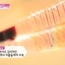 네일스카이