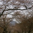 담양온천 이미지