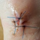 판교이엠365의원 이미지