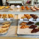 발레나식스 이미지