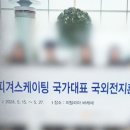 [단독] 음주에 &#39;성추행&#39;까지…피겨 국가대표 자격정지 3년 &#39;중징계&#39; 이미지