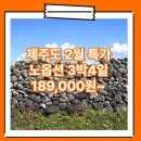 대구크라운여행사 | 대구/서울_제주도_3박4일 #관광패키지 #노옵션 #석조 / 대구출발 제주도 패키지 여행 여행사 / 대구공항