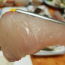 엉터리 회 네이버블로그