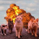 타임스톤