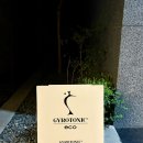 자이로토닉 에코 성수본점 : 체형 교정 후기, 듀엣 그룹 체험, 성수동 뚝섬 필라테스