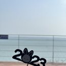 진도이어라 이미지