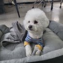 구로-고척-구로-2984 이미지