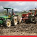 한국인농장 이미지