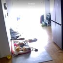 연이동물병원 이미지