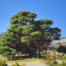 죽장상옥분교 이미지