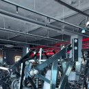 머슬피플 이미지