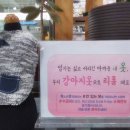 독스앤휴먼 이미지