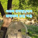 베스트올 신곡신일점 | 신일 캠핑 선풍기 BLDC 14인치 직접써본후기, 휴대용,충전 편리함