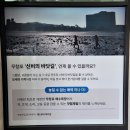 열린공간호프 | 비체팰리스 27평 스위트 숙박 후기 (feat 무창포 쭈꾸미 축제)