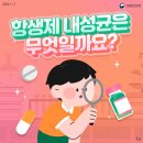 항생제 내성균은 무엇일까요? 이미지