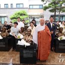 ﻿ 일본군 '위안부' 피해 할머니들을 기억합니다 이미지