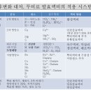 성공농사의 기본-왜 발효액비를 토양에 관주해야 하는가? irrigating plants with FLF 이미지