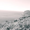 녹산등대가는길 이미지