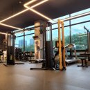 고릴라짐 광교2호점 이미지