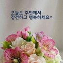 CHIARA끼아라 이미지