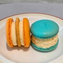 (주)굿모닝팜 이미지