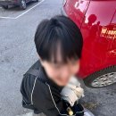 포토프러스 네이버블로그