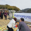 2월 정기산행 시산제 칠천도씨릉섬출렁다리 이미지