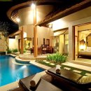 라임나무 이미지