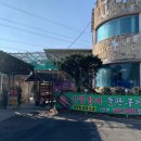 보길도낙지이야기 이미지