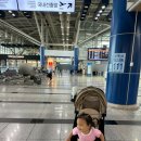 연돈가 | 제주 #1｜25개월 아기랑 단둘이 제주여행 1일차 (청주공항, 스타벅스 제주평화로DT점, 프레리아, 연돈가)