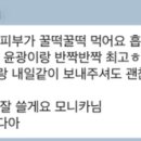 꿀딱 이미지