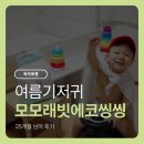 씽씽 | 여름기저귀 모모래빗에코씽씽 25개월 남아 후기