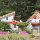 산사골 네이버블로그