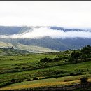 맑은나라 이미지