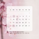 코코속눈썹 이미지