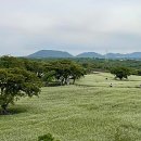 메밀마을 티스토리