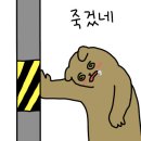포항돼지찌개집 이미지